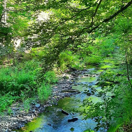 Zum Winzer Appartamento