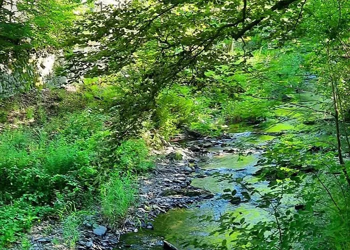 Zum Winzer Lägenhet